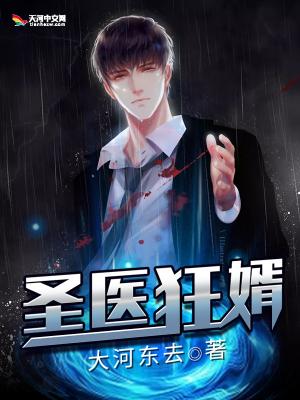 圣医狂婿