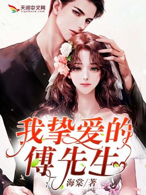 我亲爱的傅先生