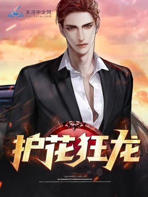 护花狂龙