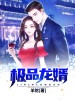 极品龙婿